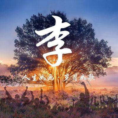 战鹰雄风官方正版下载
